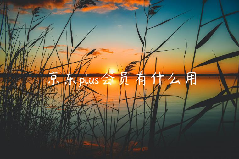 京東plus會(huì)員有什么用